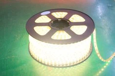 Super Bright High Voltage Waterproof AC110V/220V 2835 SMD λωρίδα LED για διακόσμηση