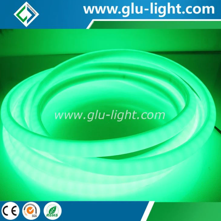 High quality 12v/24V IP68 Neon rgb led strip for outdoor use 