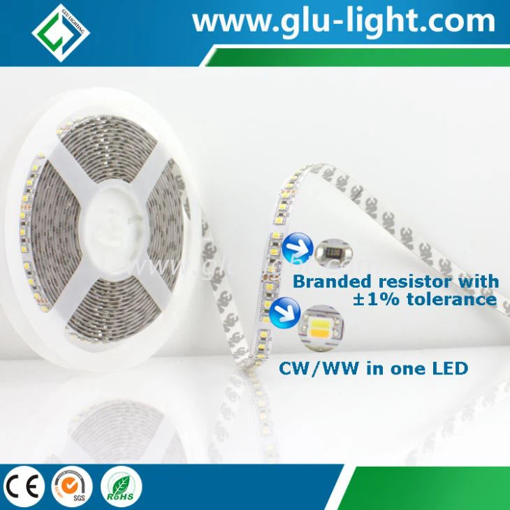 Top quality 3528 flexible led strip w+ww Bi-color with 120 leds/m