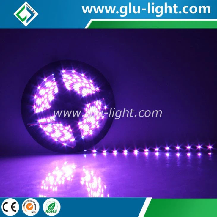 China manufacturer 60leds/m 24V edge-lit side view 020 RGB flexible led tape