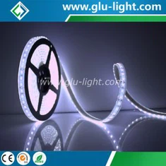 2017 Νεότερο IP68 Waterproof Treatment Solid Silicone Underwater 2835 Led Strip